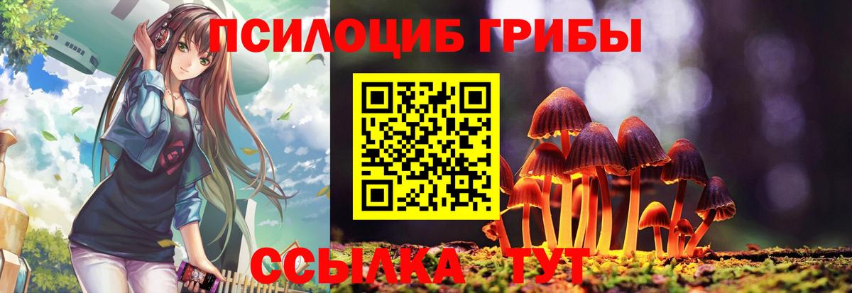 Псилоцибиновые грибы Psilocybe Качканар