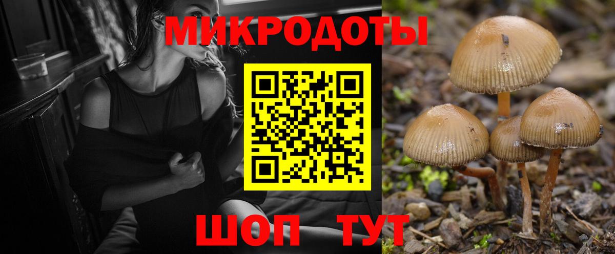 Качканар  Псилоцибиновые грибы мухоморы  Вход с VPN 