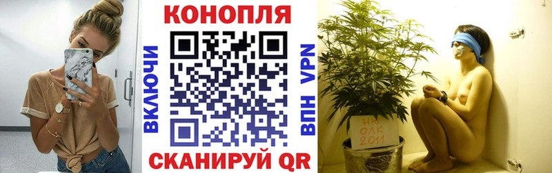 Шишки марихуана Bruce Banner  Качканар 